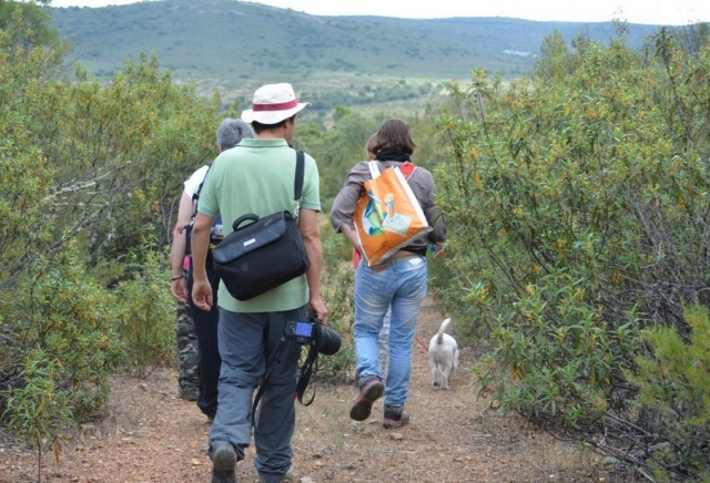 ruta por el bosque